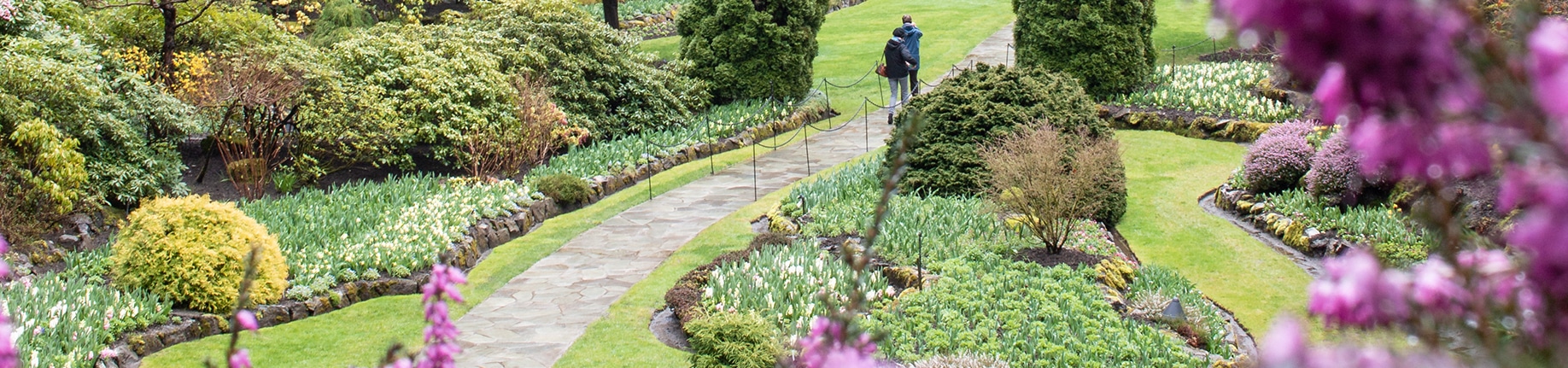 People walking along path in The Butchart Gardens Sunken Garden in the spring.