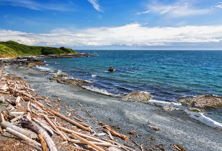 view of a rocky beach shoreline on a sunny day