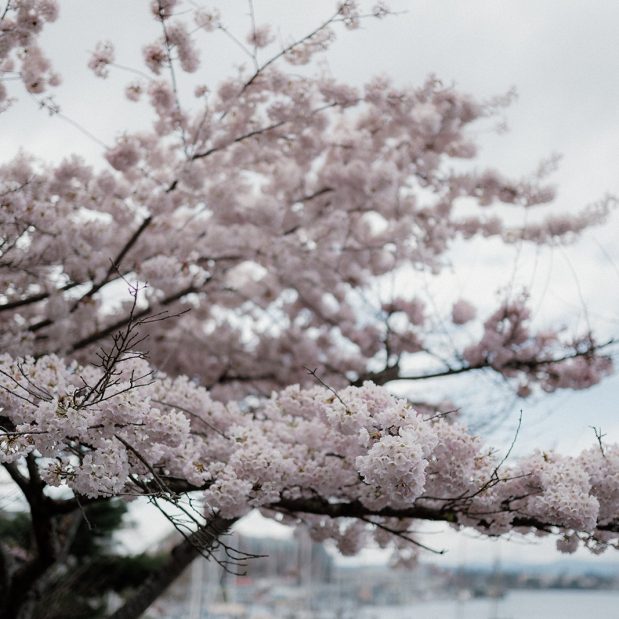 Spring wedding inspiration Victoria