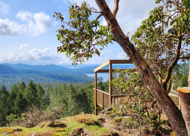 view from Adrena LINE Adventure Zipline Adventure Park, a Key to the City Partner